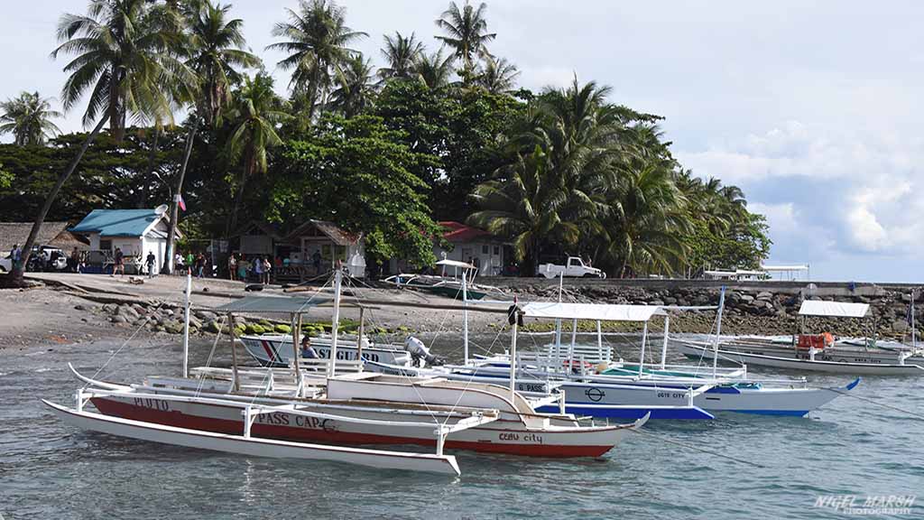 diving Dumaguete: no other activities at Dumaguete The Philippines by Diveplanit 1029