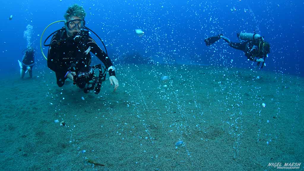 diving Dumaguete: follow the bubbles at Dumaguete The Philippines by Diveplanit 1030