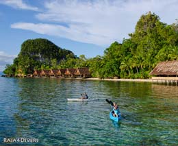 Raja divers pulau pef raja ampat indonesia kayaking feature