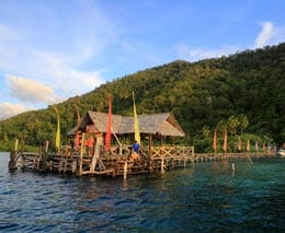 Raja ampat dive lodge radl raja ampat indonesia jetty feature