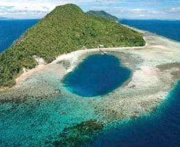 Papua diving kri island raja ampat indonesia sorido feature