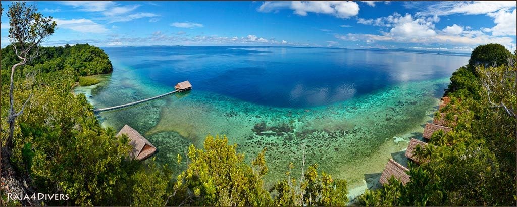 Raja divers pulau pef raja ampat indonesia mount pef