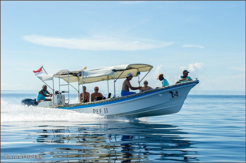 Raja divers pulau pef raja ampat indonesia dive boat