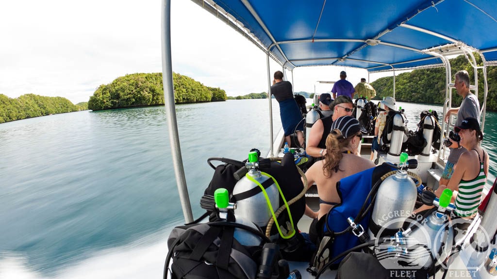 Rock islands aggressor liveaboard koror palau tender