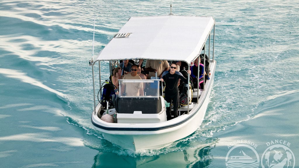 Rock islands aggressor liveaboard koror palau divetender