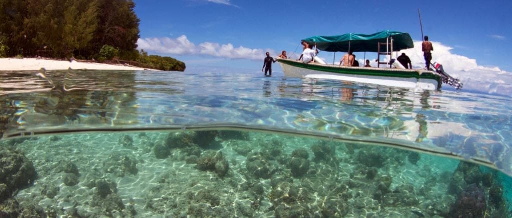 Papua Diving Resorts, Kri Island, Raja Ampat, Indonesia-split