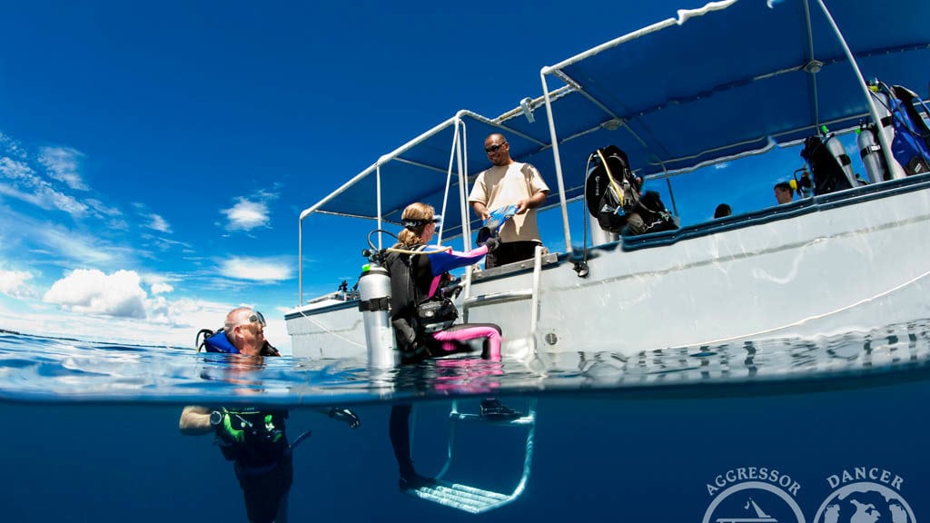 Rock islands aggressor liveaboard koror palau tender