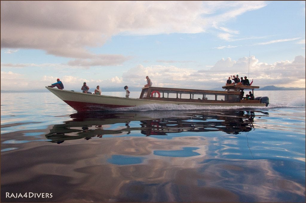 9-Raja 4 Divers Pulau Pef Raja Ampat Indonesia Transfer-Boat