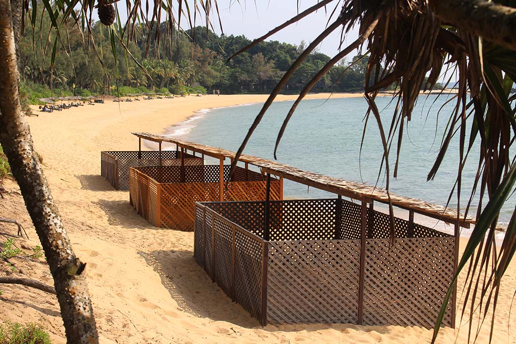 Lang tengah turtle watch three current hatcheries outside the nelayan restaurant 02 Lang Tengah Turtle Watch Three Current Hatcheries Outside the Nelayan Restaurant