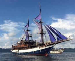 Sea safari raja ampat cendrawasih bay indonesia under sail feature