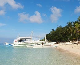 Sea explorers malapascua ocean vida beach resort malapascua philippines feature