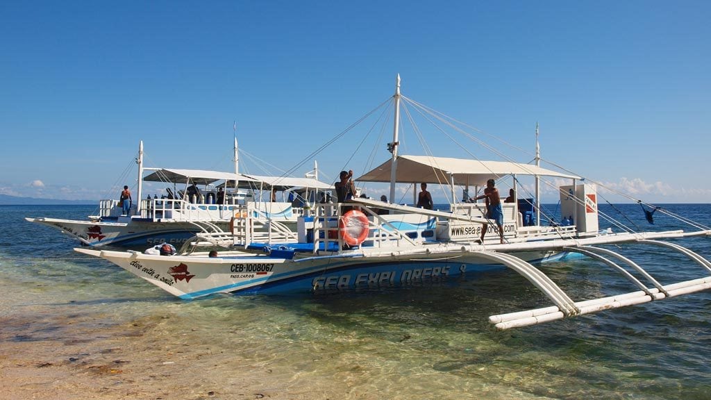 Sea explorers cabilao pura vida beach dive resort calilao bohol philippines sea explorer and gypsy