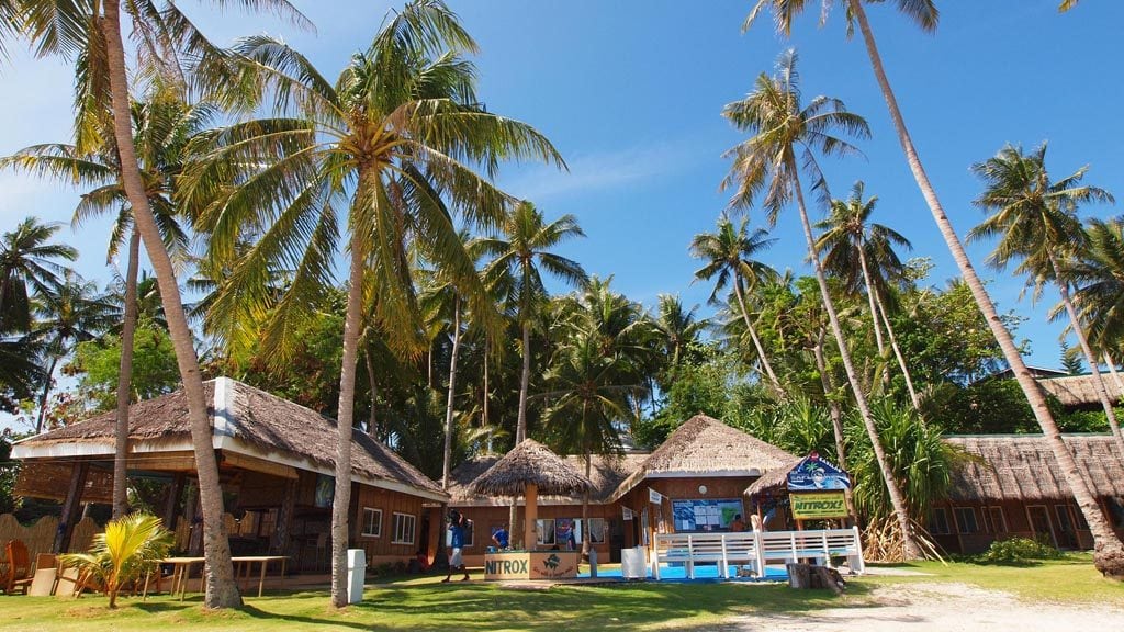 Sea explorers cabilao pura vida beach dive resort calilao bohol philippines dive centre