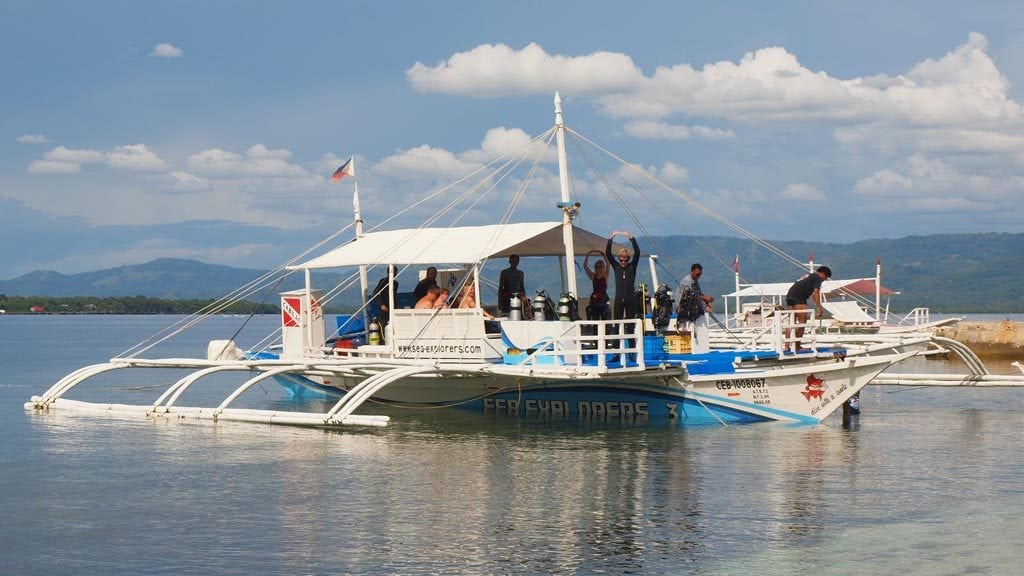 Sea explorers cabilao pura vida beach dive resort calilao bohol philippines sea explorers