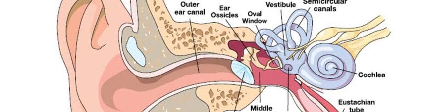 How to equalise ears while diving