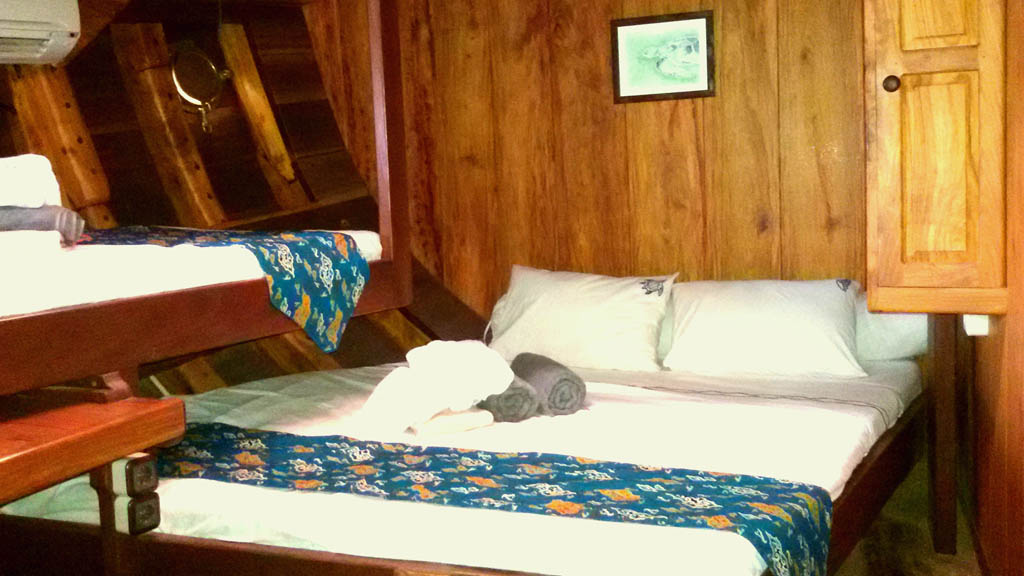 Teman liveaboard | maluku have a double bed and a bunk bed