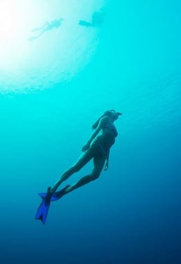 Maldives Underwater Festival at to LUX* South Ari Atoll, a chance to learn about marine conservation, and dive on the surrounding stunning coral reefs.