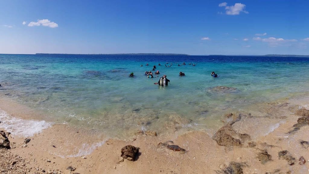 Absolute Adventures Santo Dive Centre and Coral Quays Resort-Luganville-Vanuatu-Shore-diving
