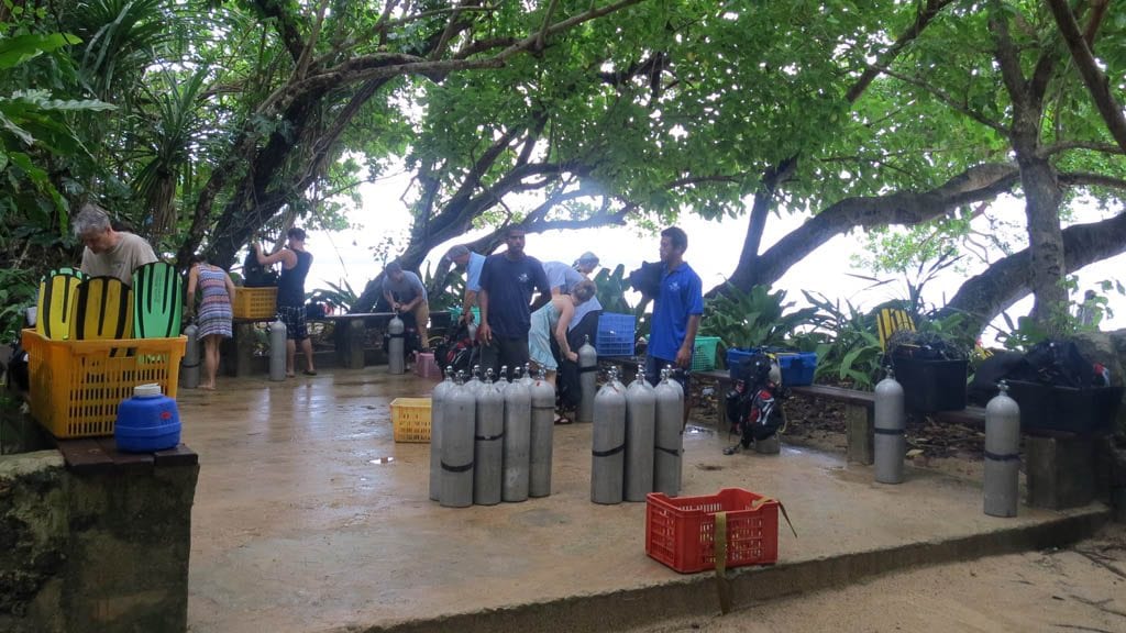 Allan power dive tours santo vanuatu setting up in the garden