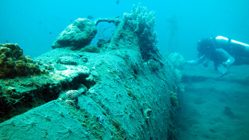 Along fuselage with diver diving The Zero at Walindi Resort PNG by Diveplanit