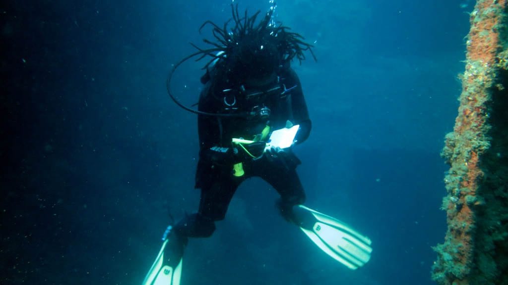 Allan power dive tours santo vanuatu guided written tour