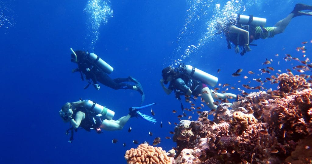 Solomons PNG Master Liveaboard, Solomon Islands & PNG-off-to-mirror-pond