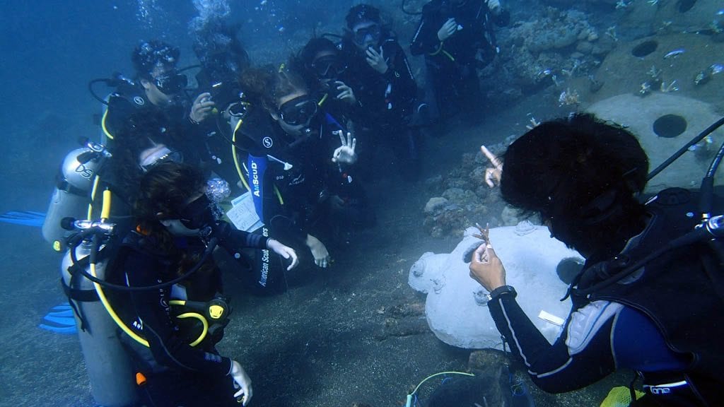 Volunteer for Coral Reef Restoration at Sea Communities in Bali-Indonesia-Coral-Turtle