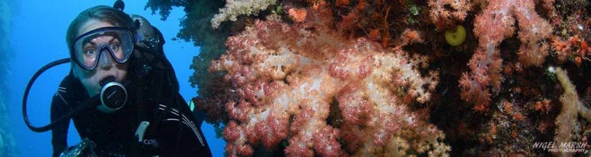 Beqa reefs banner