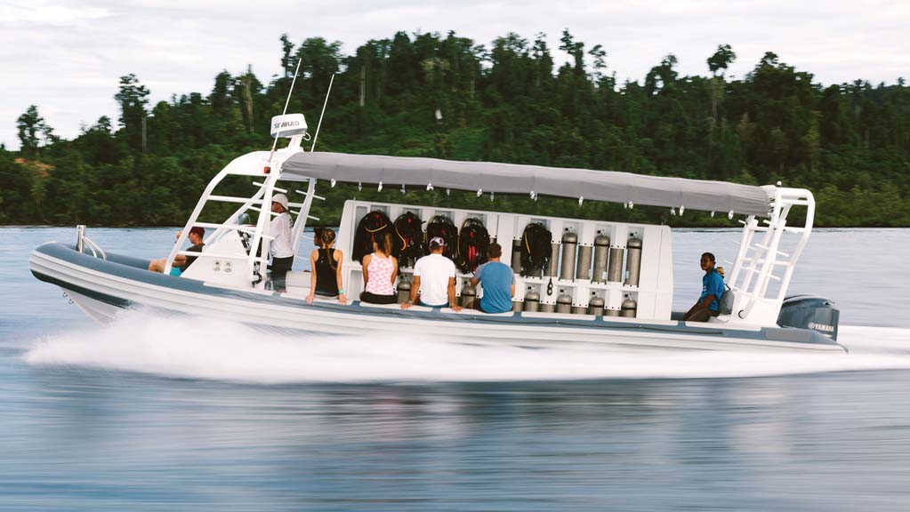 3 Meridian Adventure Dive Resort – Club Med style diving in Raja Ampat Indonesia dive-boat