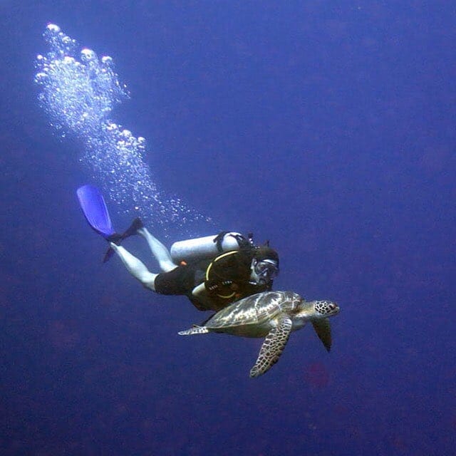Deb in Bunaken with turtle