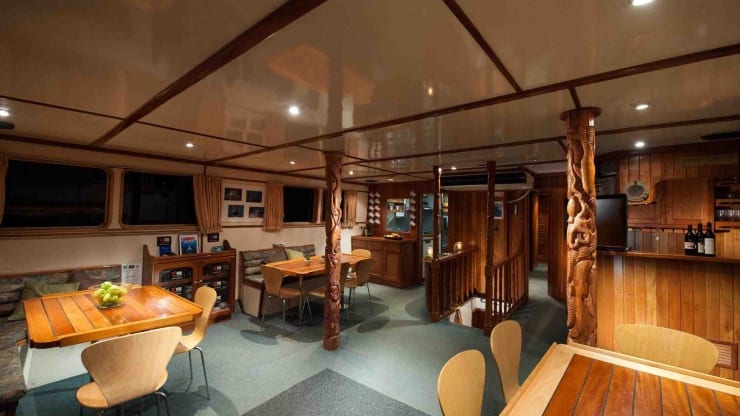 Rodney fox expeditions great white shark cage diving south australia saloon