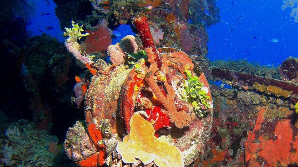Truk master liveaboard truk shinkoku maru
