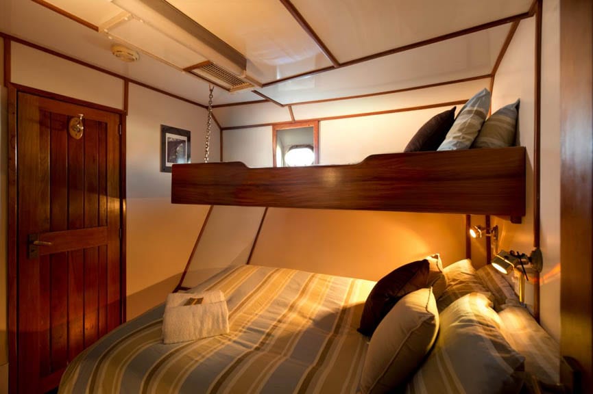 Rodney fox expeditions great white shark cage diving south australia standard cabin