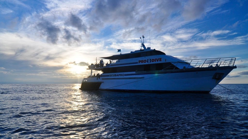 12 Pro Dive Cairns Liveaboard Scubapro Liveaboards Great Barrier Reef dawn external