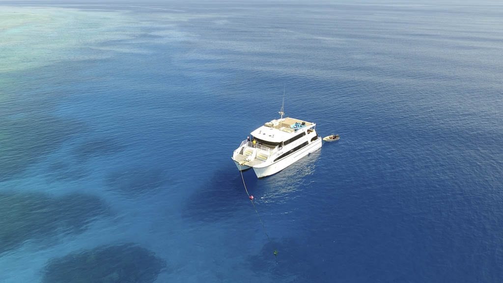 The odyssey liveaboard rowley shoals australia external hero
