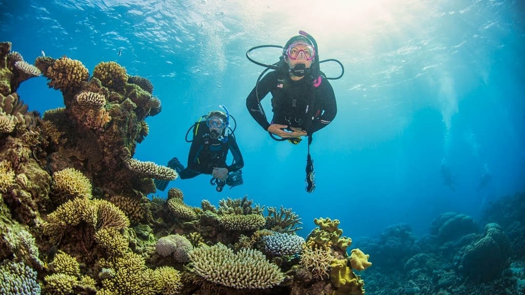 5 Pro Dive Cairns Liveaboard Scubapro Liveaboards Great Barrier Reef two divers