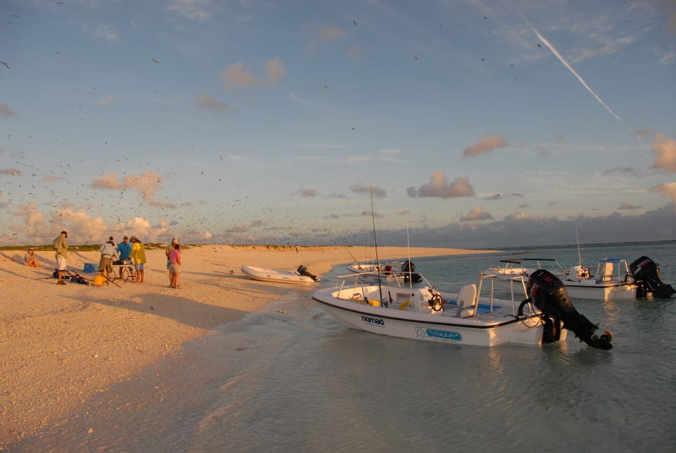 The odyssey liveaboard rowley shoals australia coral cay