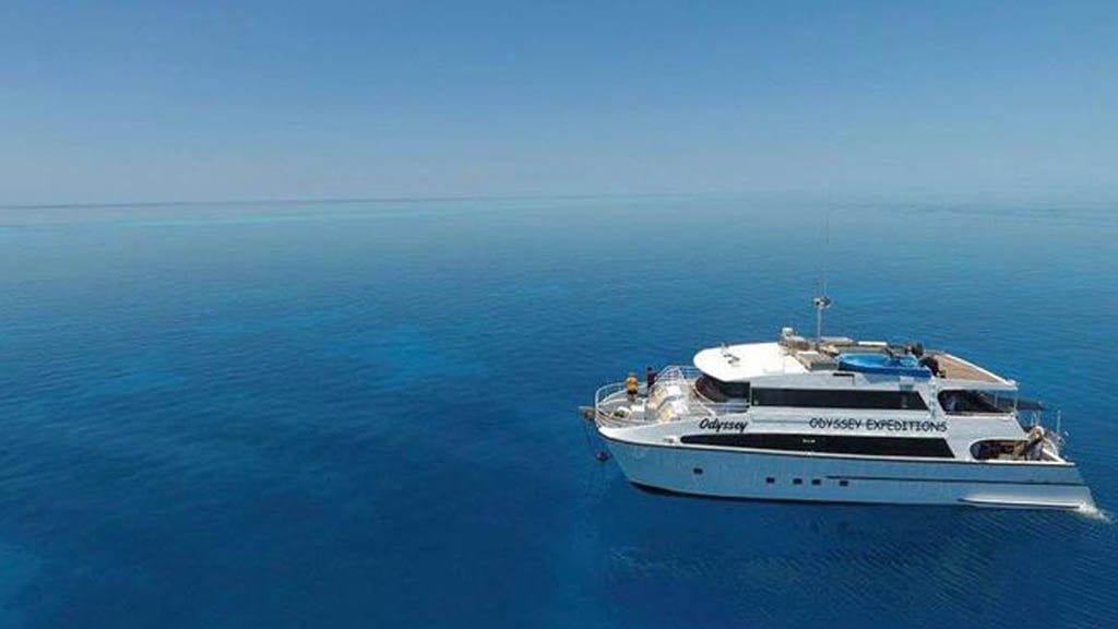 The odyssey liveaboard rowley shoals australia rowley shoals