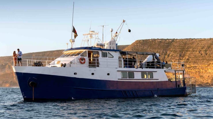 Rodney fox expeditions great white shark cage diving south australia princess external