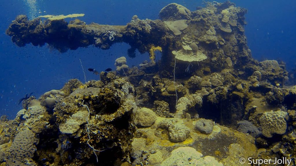 Truk master liveaboard truk fujikawa maru