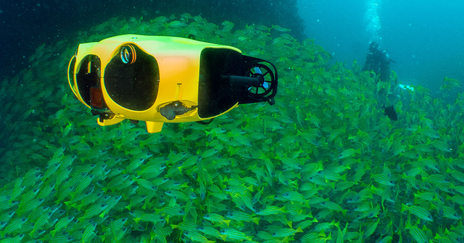 Maldives Underwater Festival Kuda Rah Thila iBubble_9972