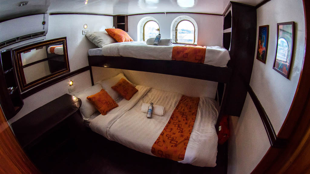 Seadoors liveaboard visayas malapascua tubbataha philippines standard cabin