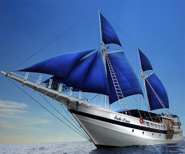 Indo siren liveaboard mrec