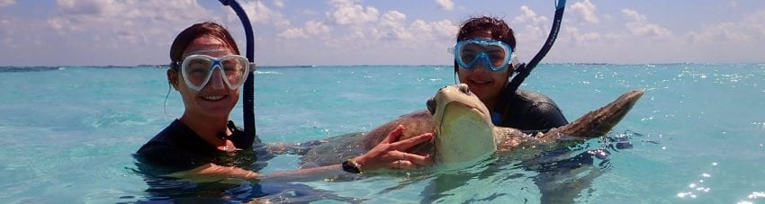 Maldives olive ridley project claire petros with turtle banner