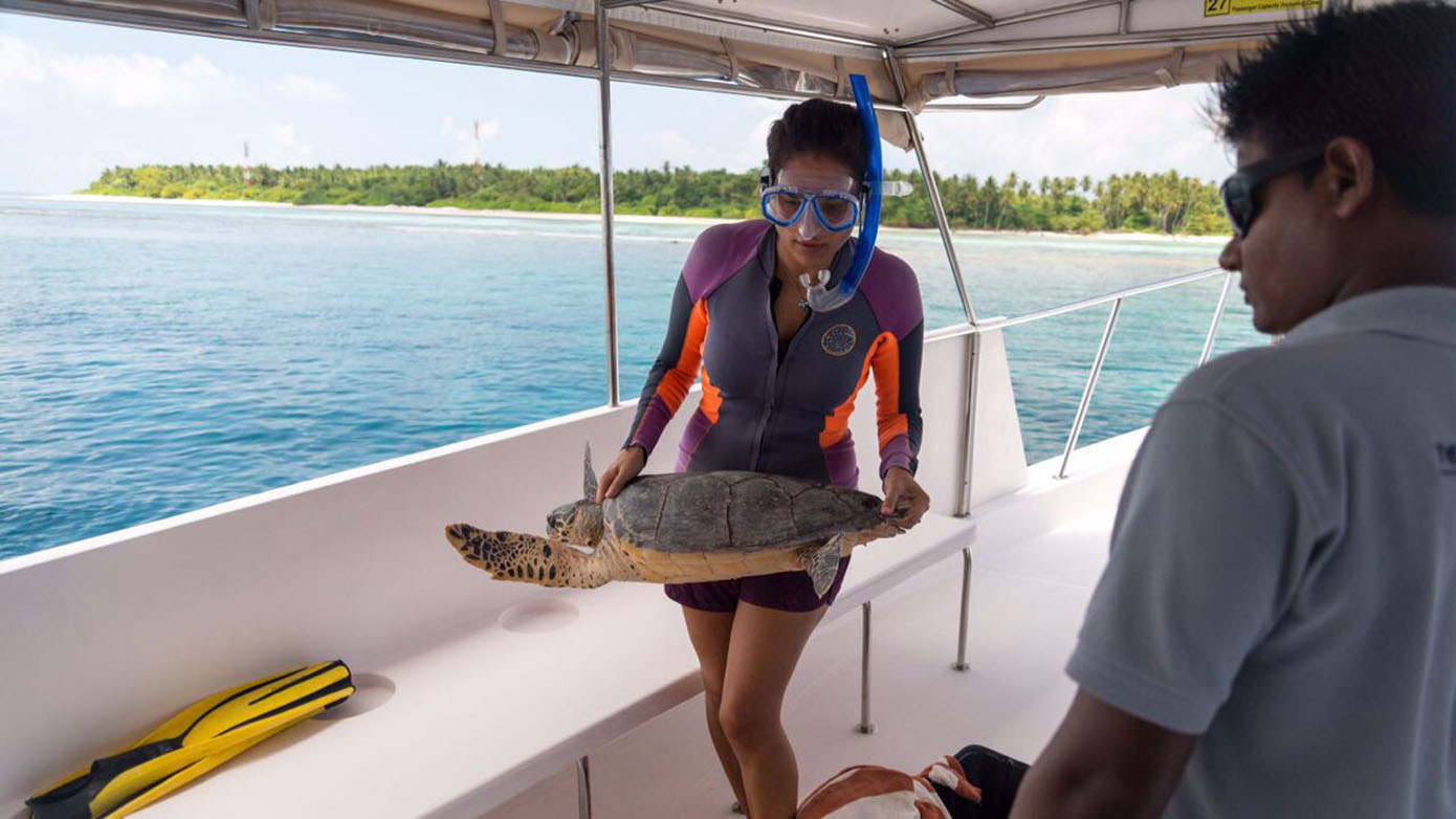 Maldives Olive Ridley Project Claire Petros with turtle_7215