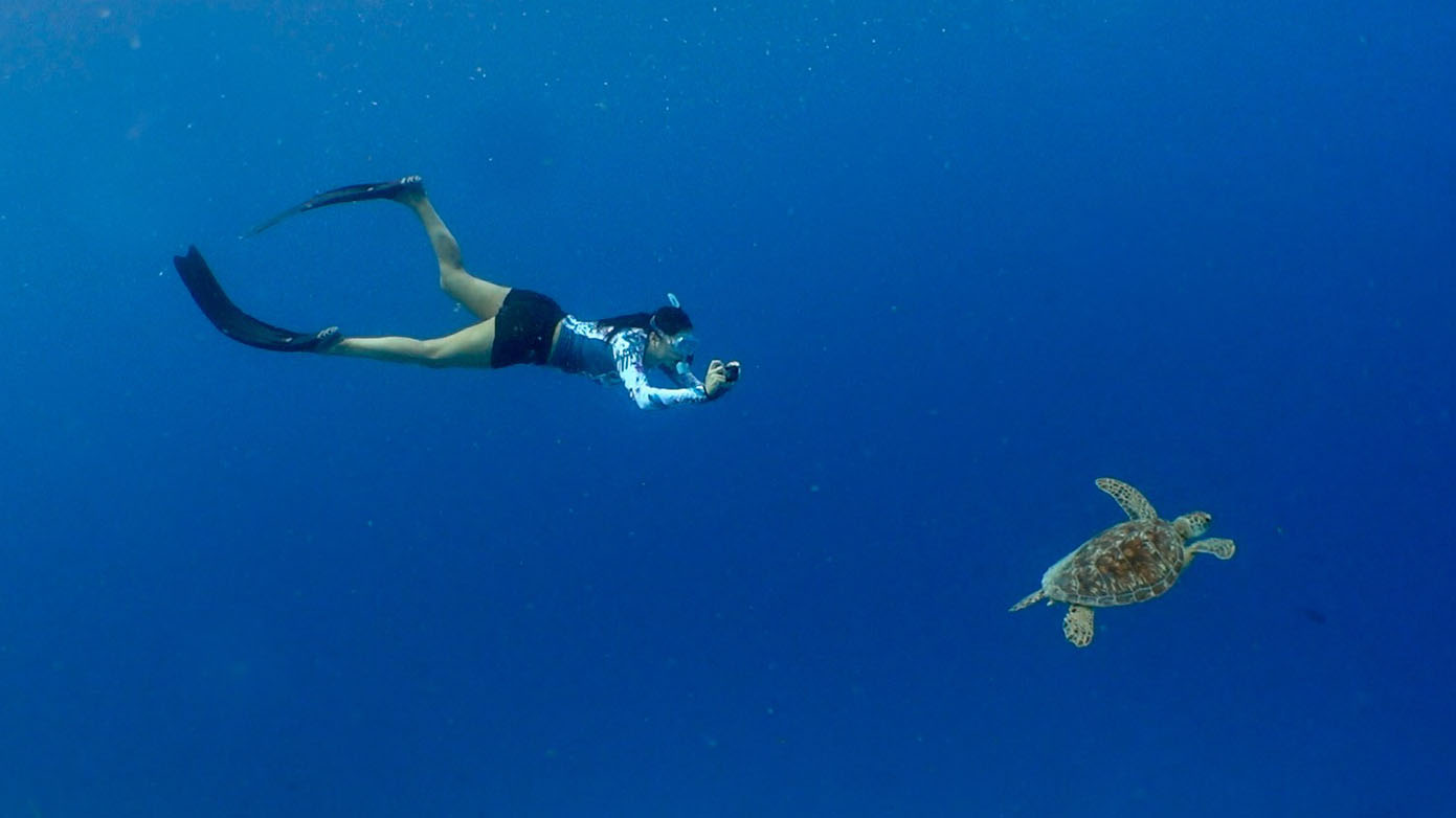 Maldives Olive Ridley Project Claire Petros with turtle_7842