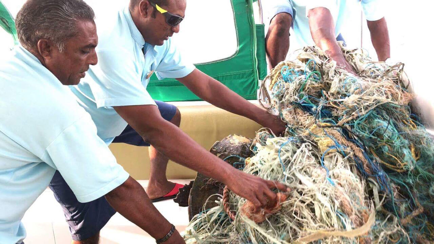 Maldives Olive Ridley Project turtle caught in ghost net_7795