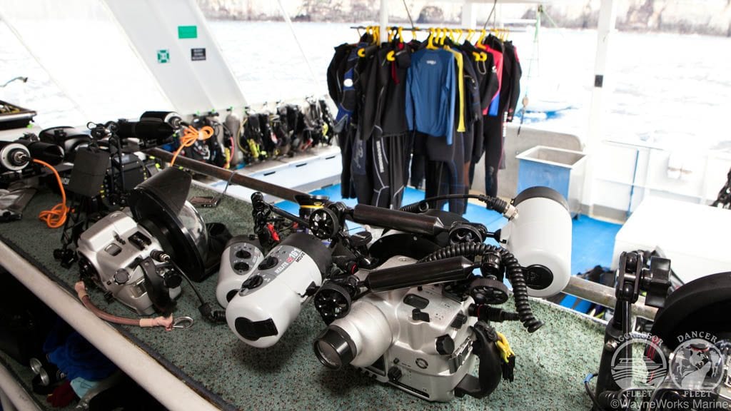 Galapagos aggressor liveaboard galapagos islands camera table