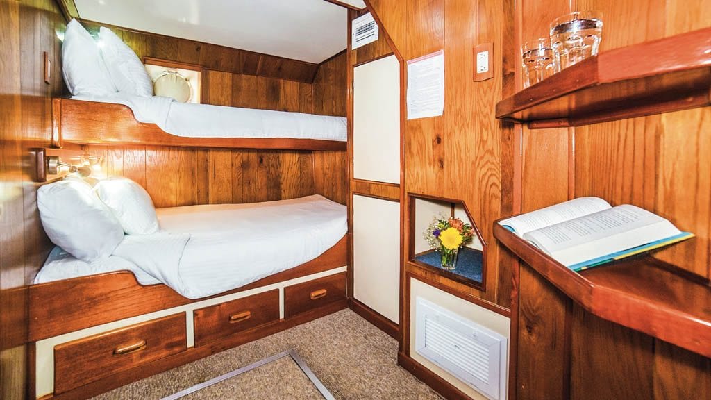 Nautilus Under Sea liveaboard Socorro & Guadalupe Islands Mexico-stateroom3