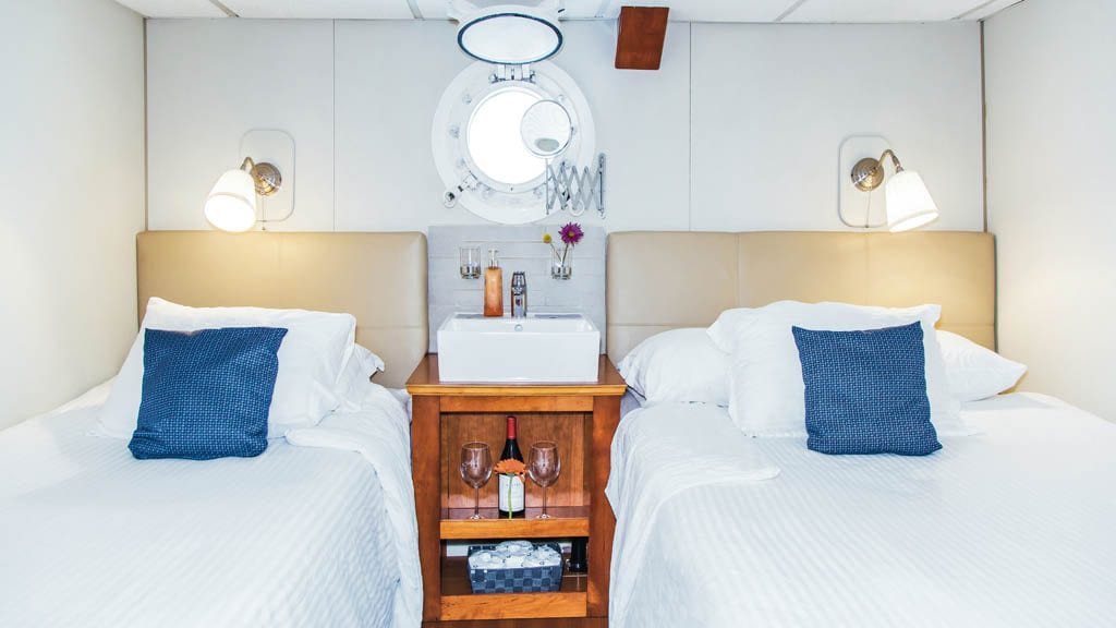 Nautilus Explorer Liveaboard Socorro & Guadalupe Islands Mexico-Stateroom C